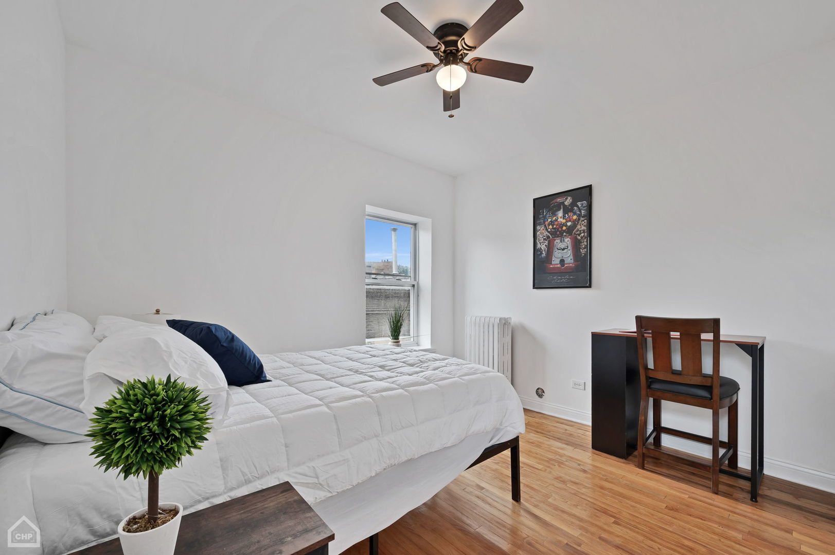 847 W Belle Plaine Avenue Unit: 1S