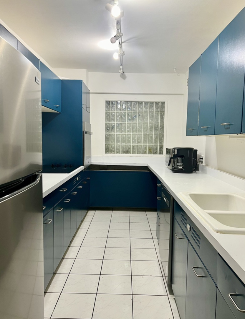 535 N Michigan Avenue Unit: 509