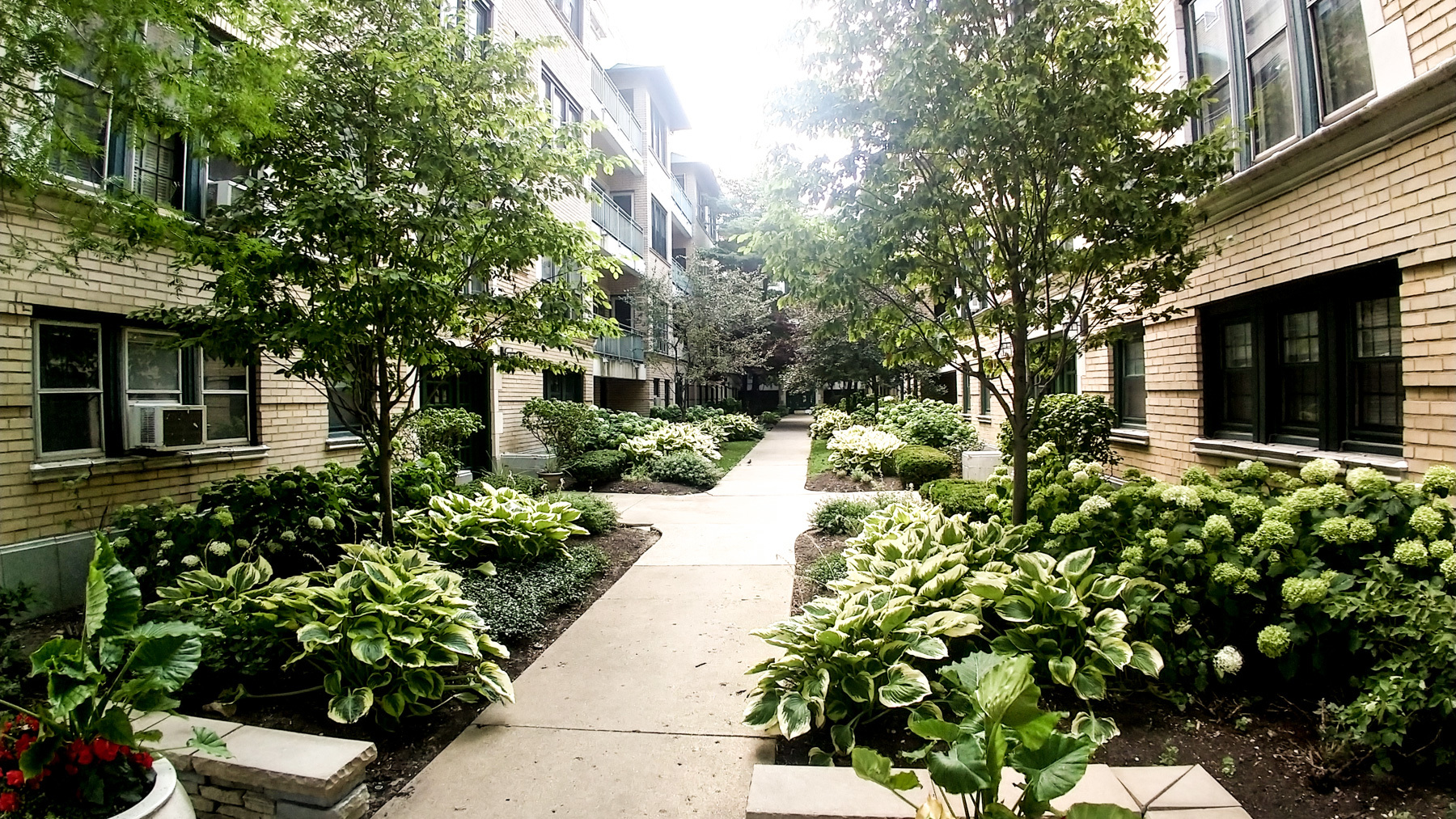 4316 N CLARENDON Avenue Unit: 1610