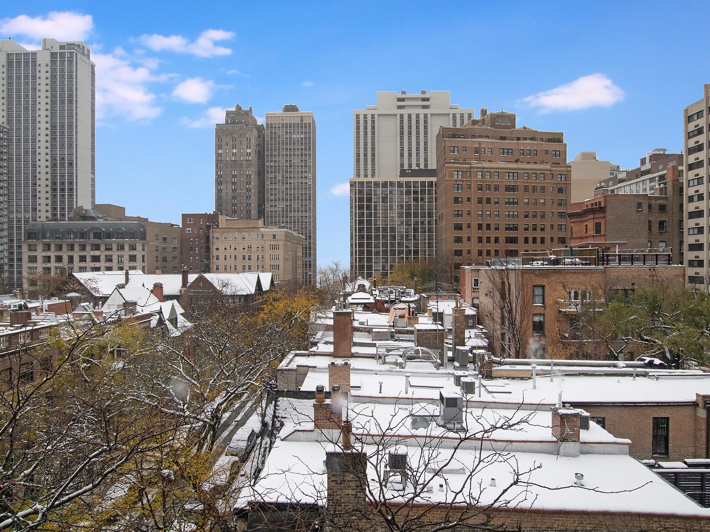 1 E SCOTT Street Unit: 703