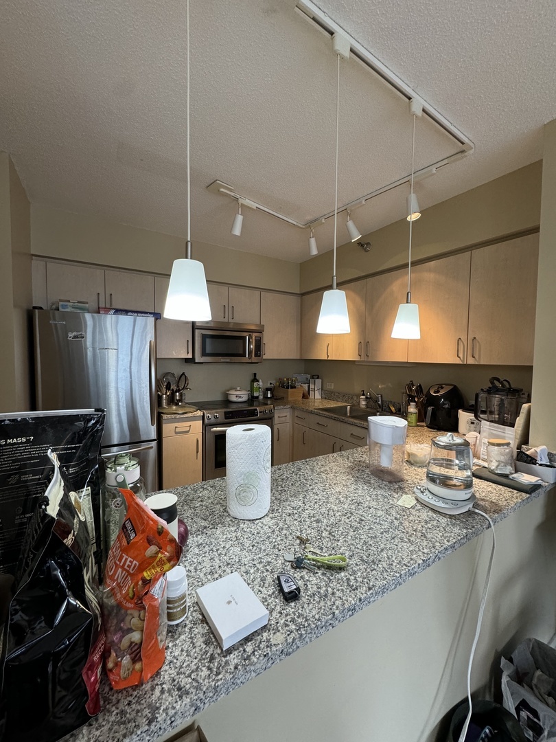 512 N Mcclurg Court Unit: 2309