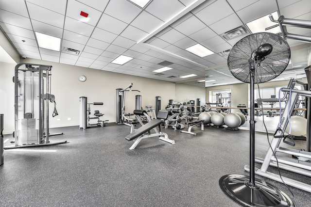 512 N Mcclurg Court Unit: 2309