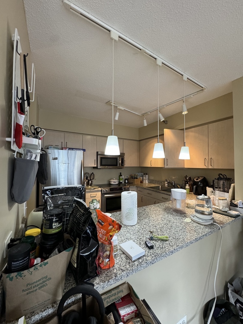 512 N Mcclurg Court Unit: 2309