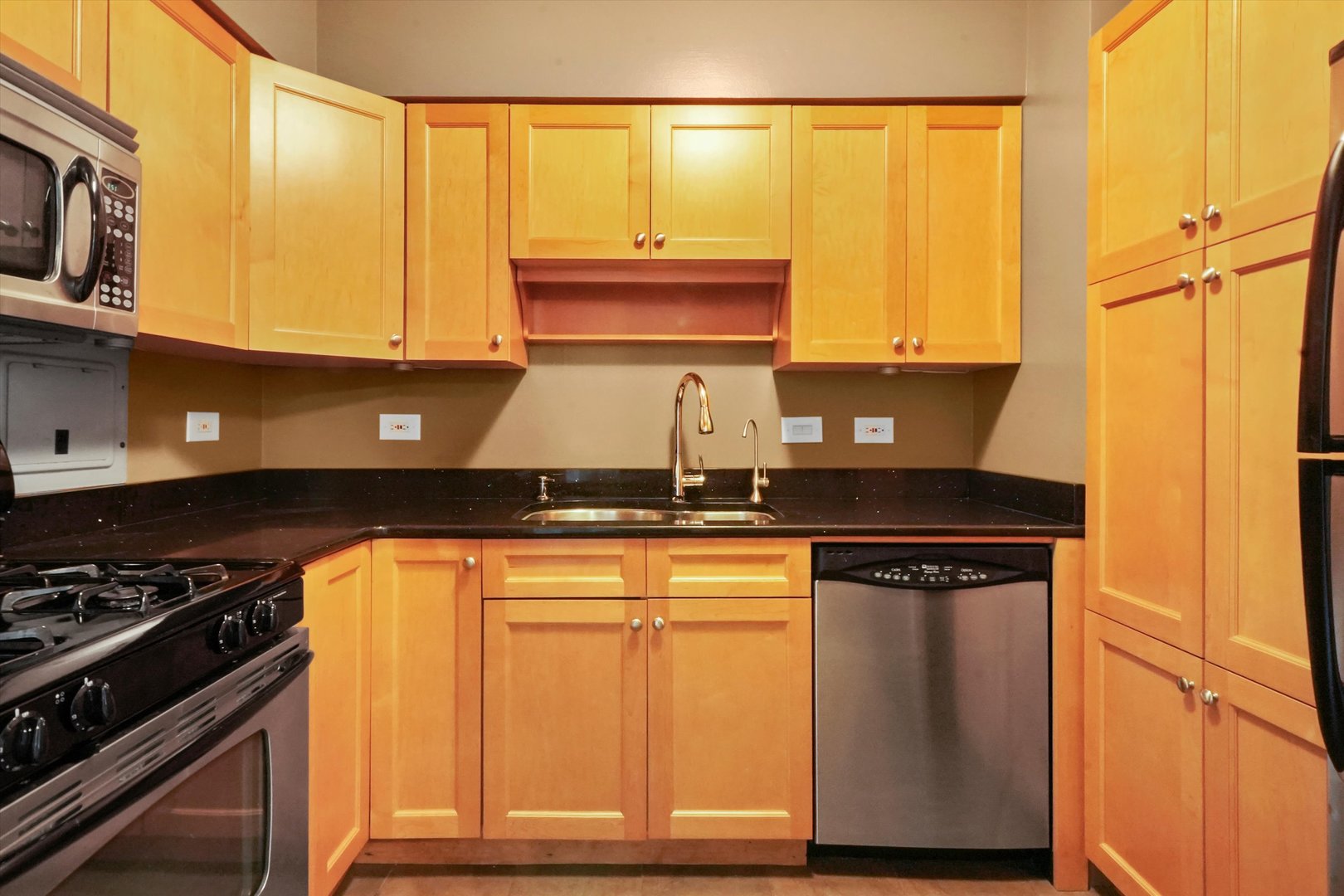 1000 N Lake Shore Drive Unit: 1406