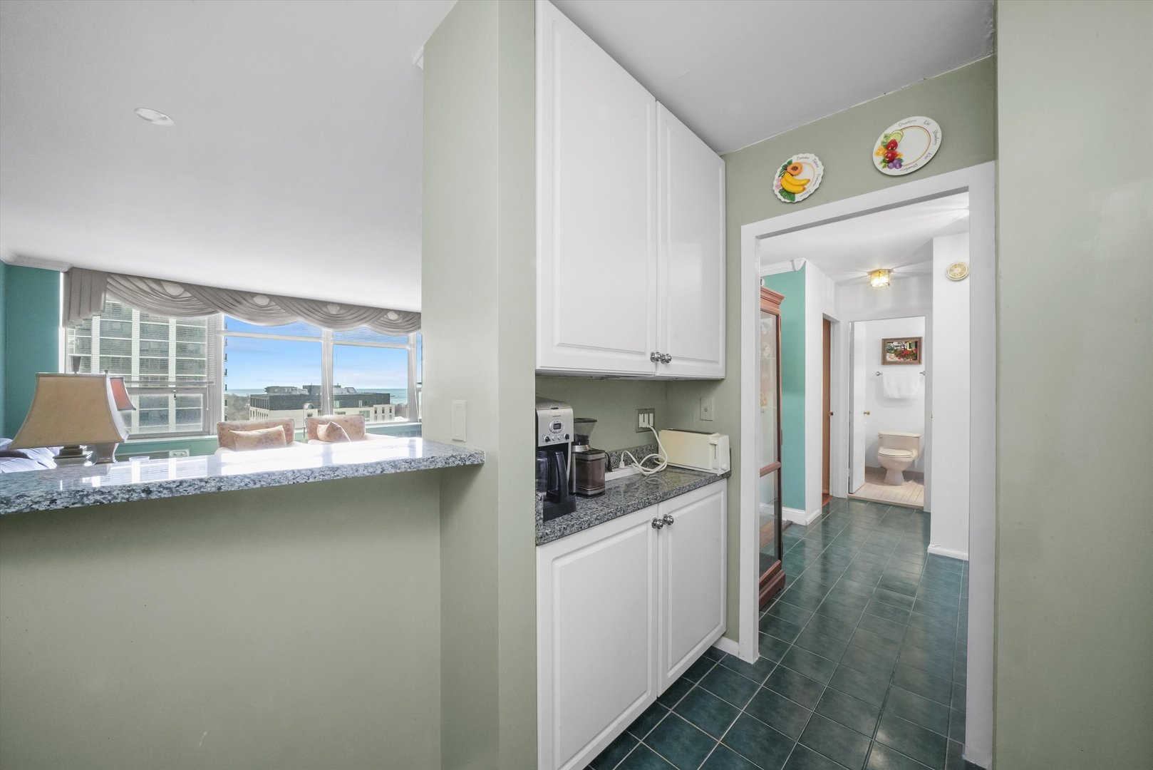 1460 N Sandburg Terrace Unit: 1610A