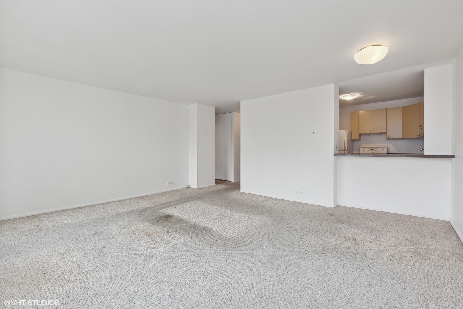 1460 N Sandburg Terrace Unit: 1103A