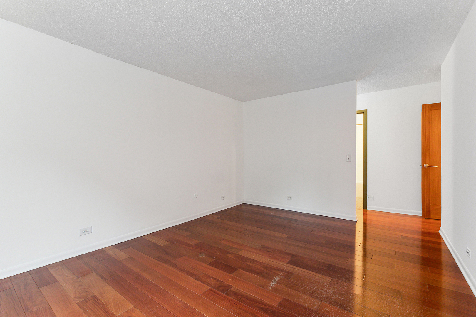 801 S Plymouth Court Unit: 315