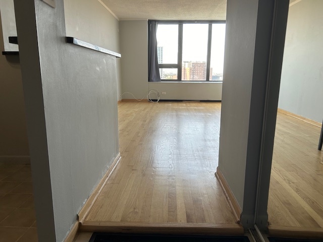 3930 N PINE GROVE Avenue Unit: 1608