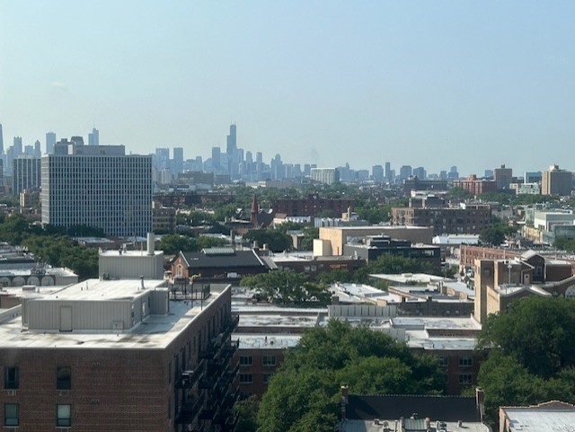3930 N PINE GROVE Avenue Unit: 1608