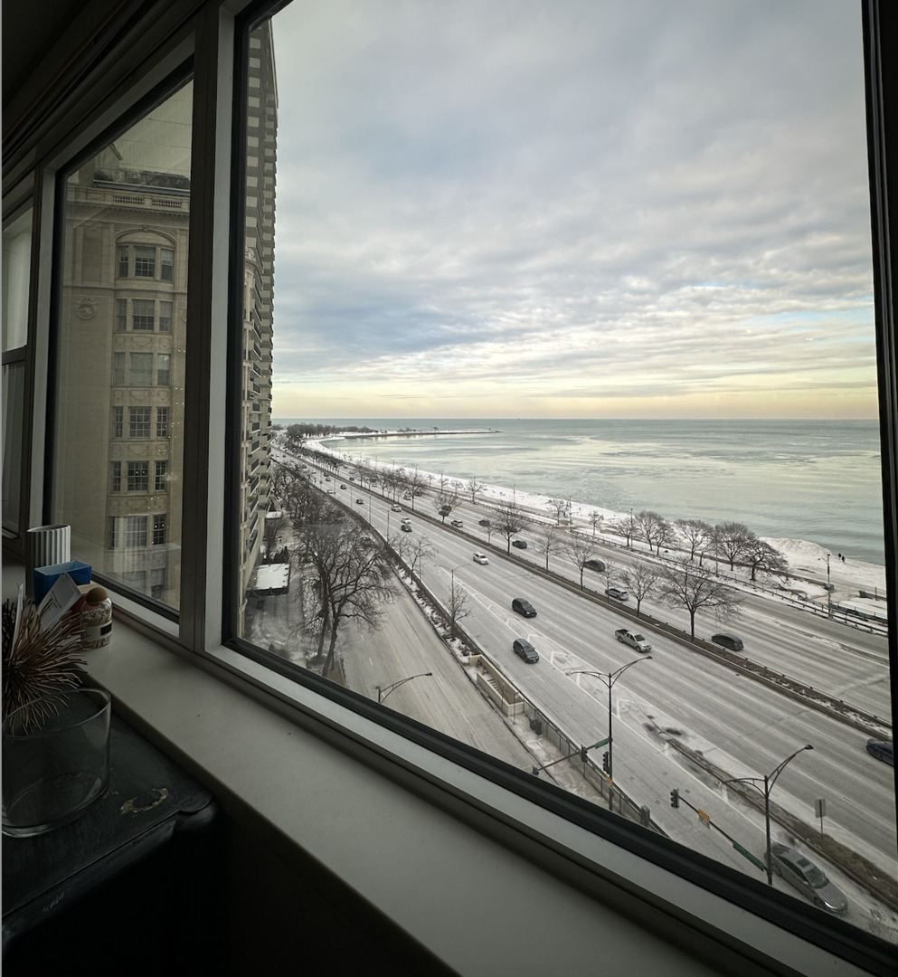 1150 N LAKE SHORE Drive Unit: 11D