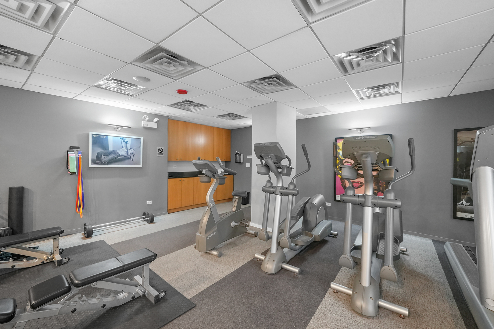 2930 N Sheridan Road Unit: 1411