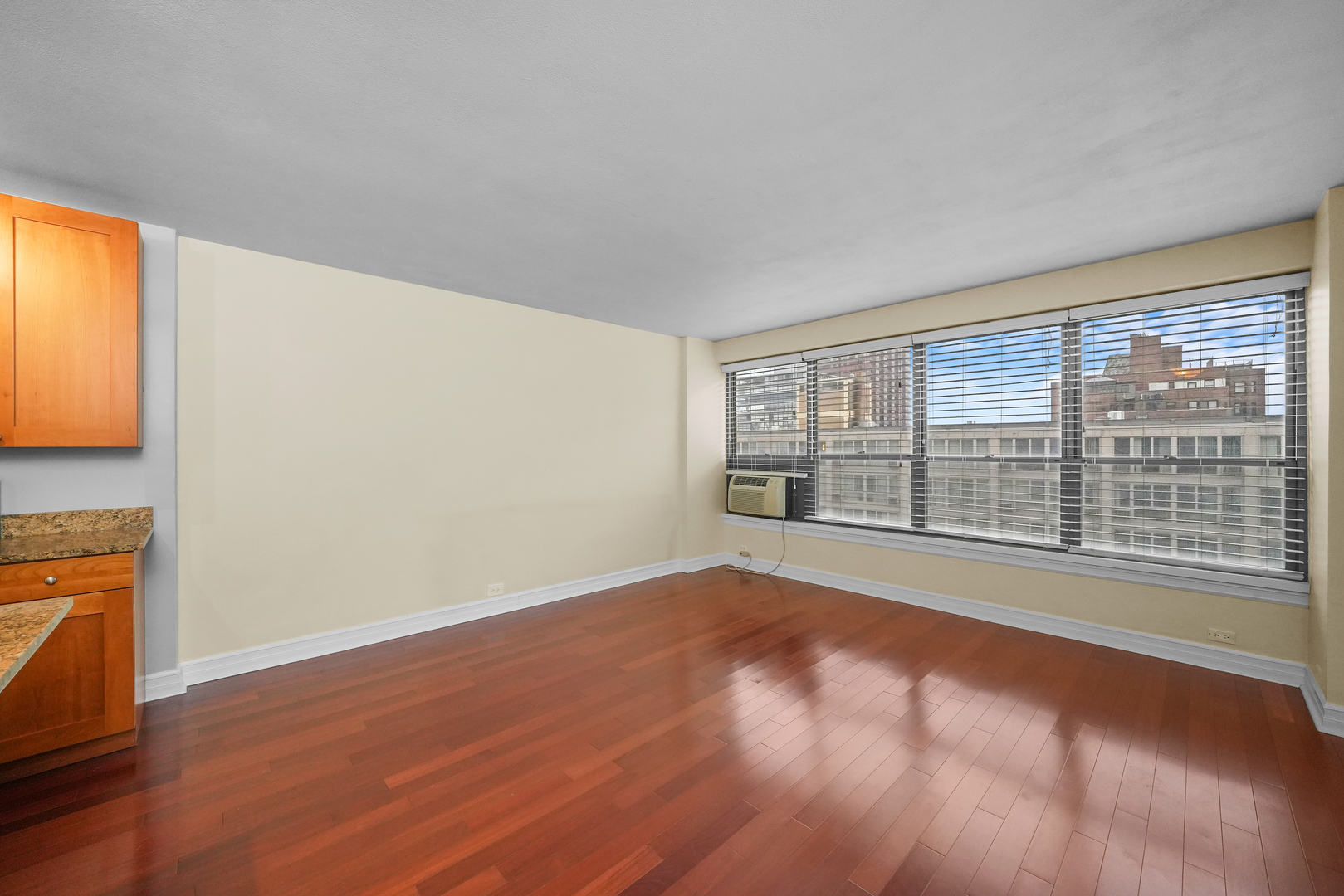 2930 N Sheridan Road Unit: 1411
