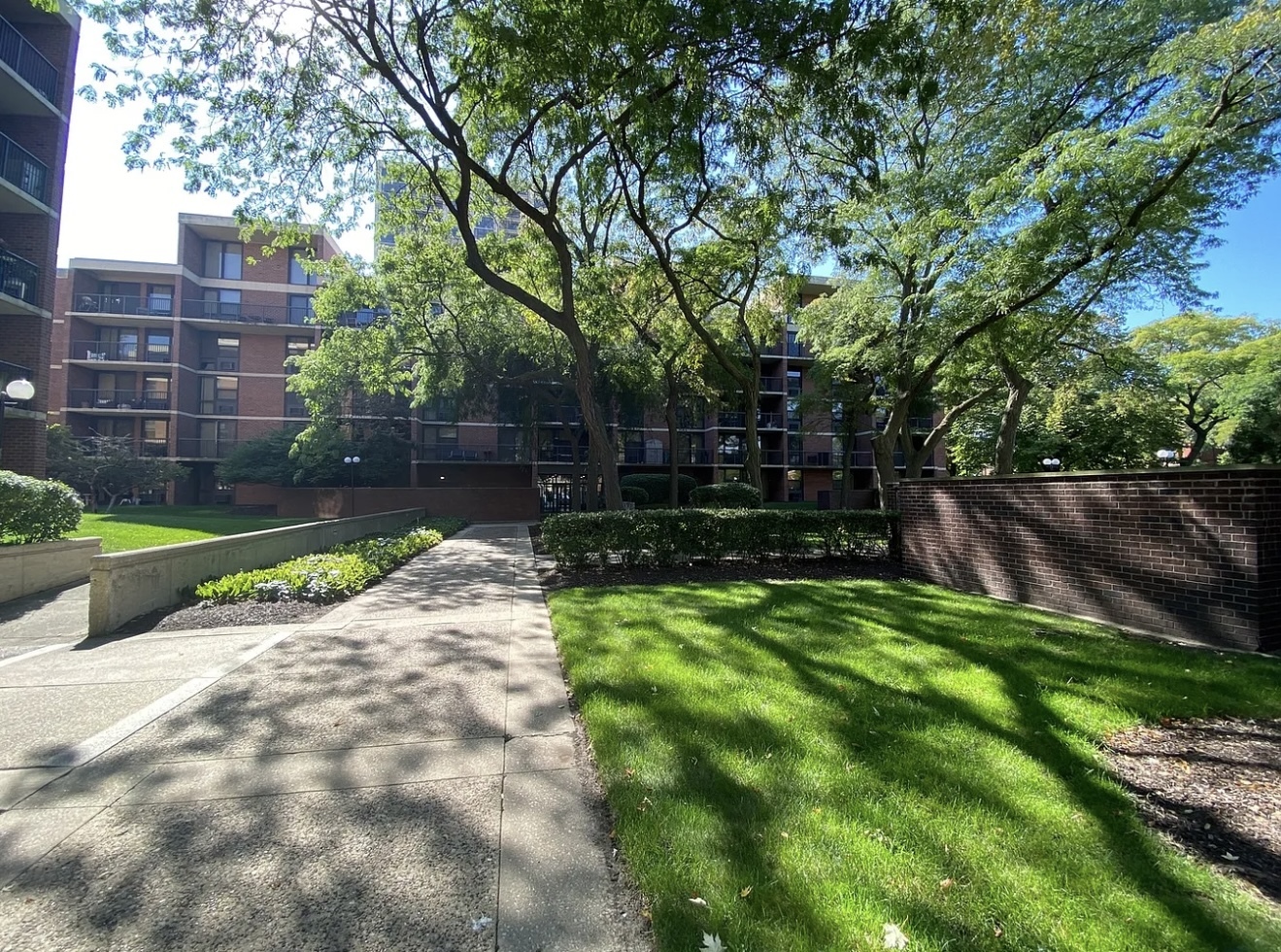 2941 S Michigan Avenue Unit: 204