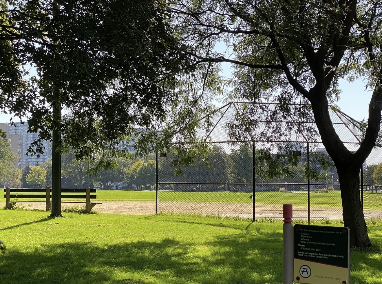 2941 S Michigan Avenue Unit: 204