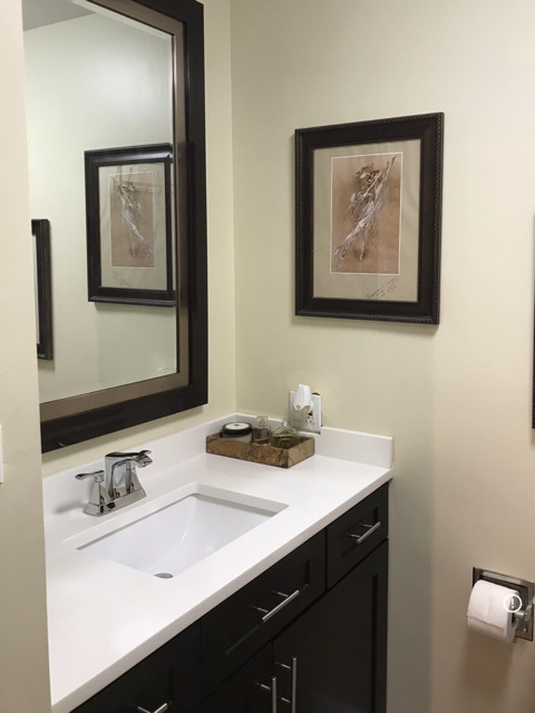 111 E Chestnut Street Unit: 17E