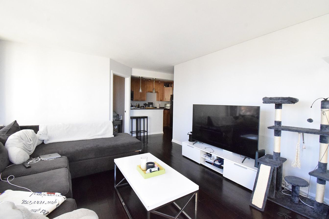 1455 N Sandburg Terrace Unit: 509