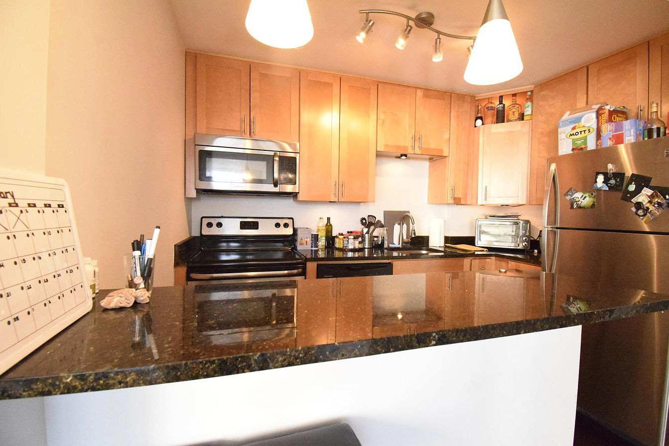 1455 N Sandburg Terrace Unit: 509