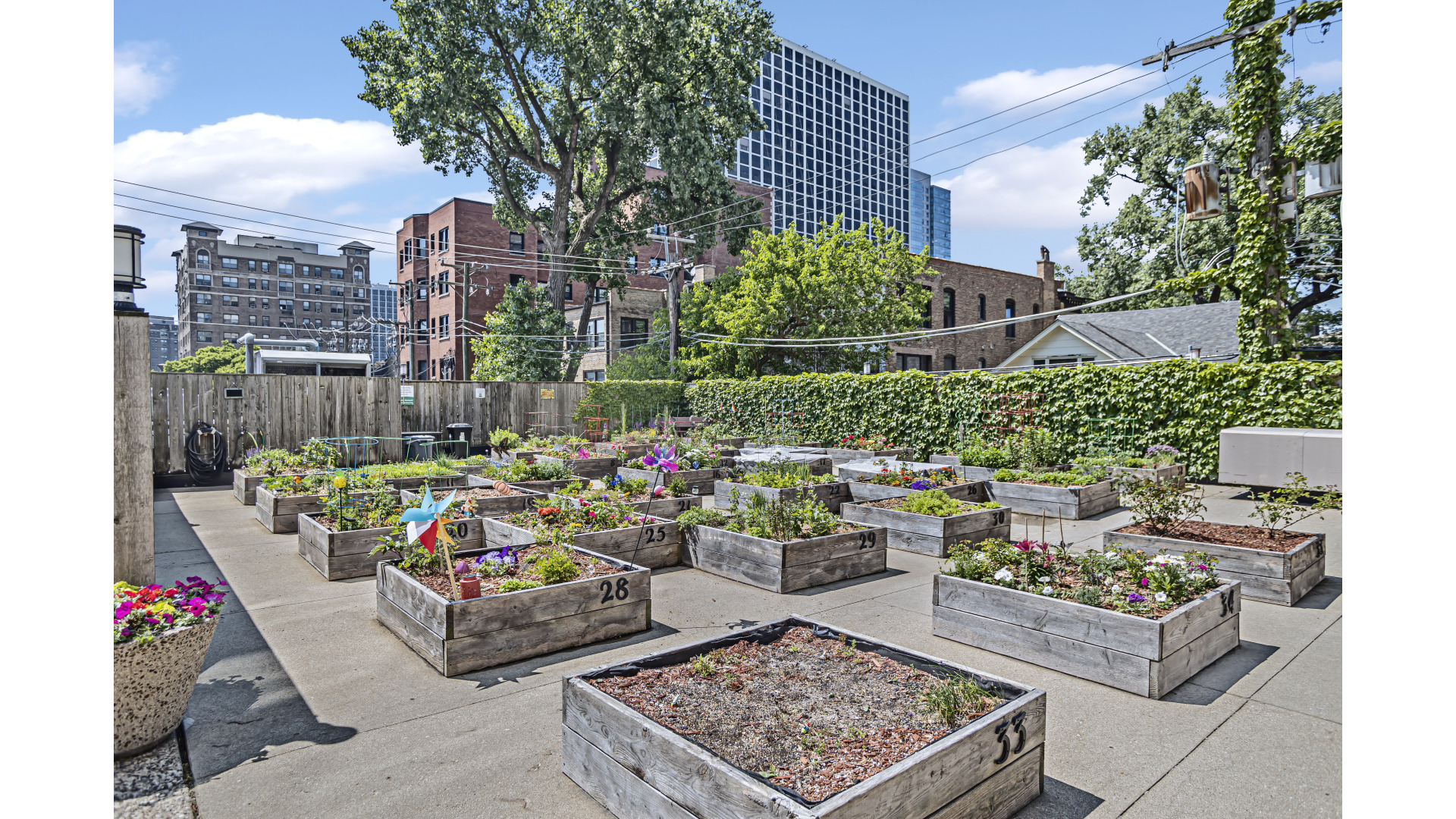 4250 N Marine Drive Unit: 322