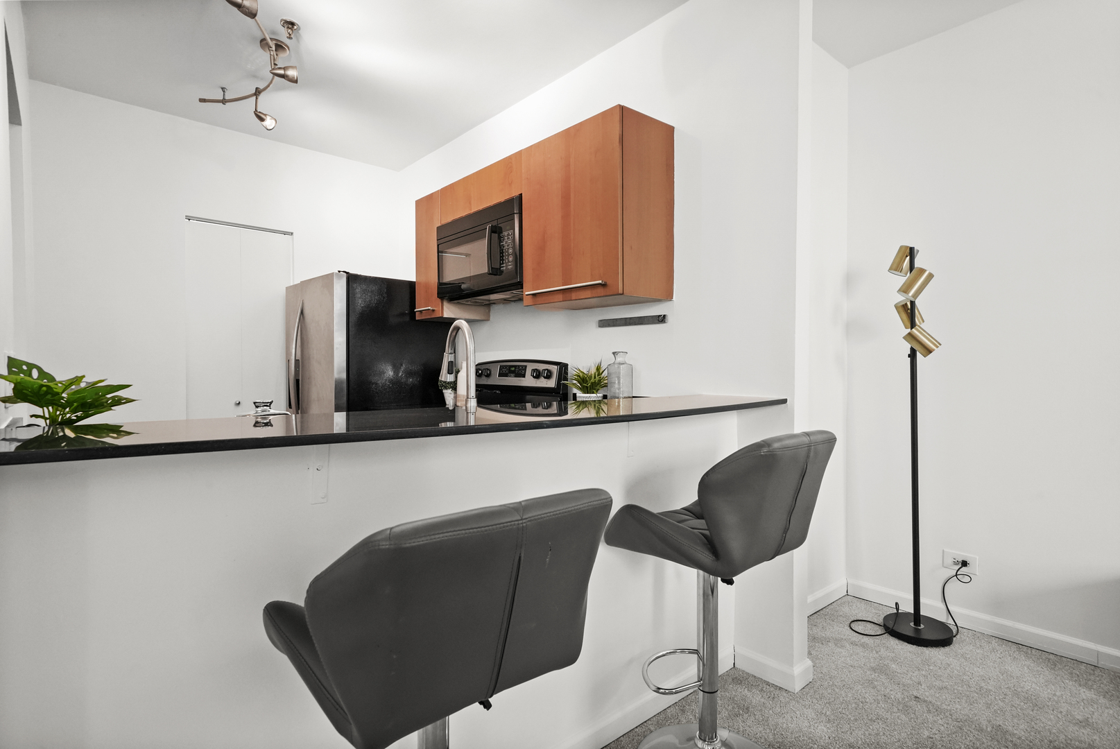 680 S Federal Street Unit: 203