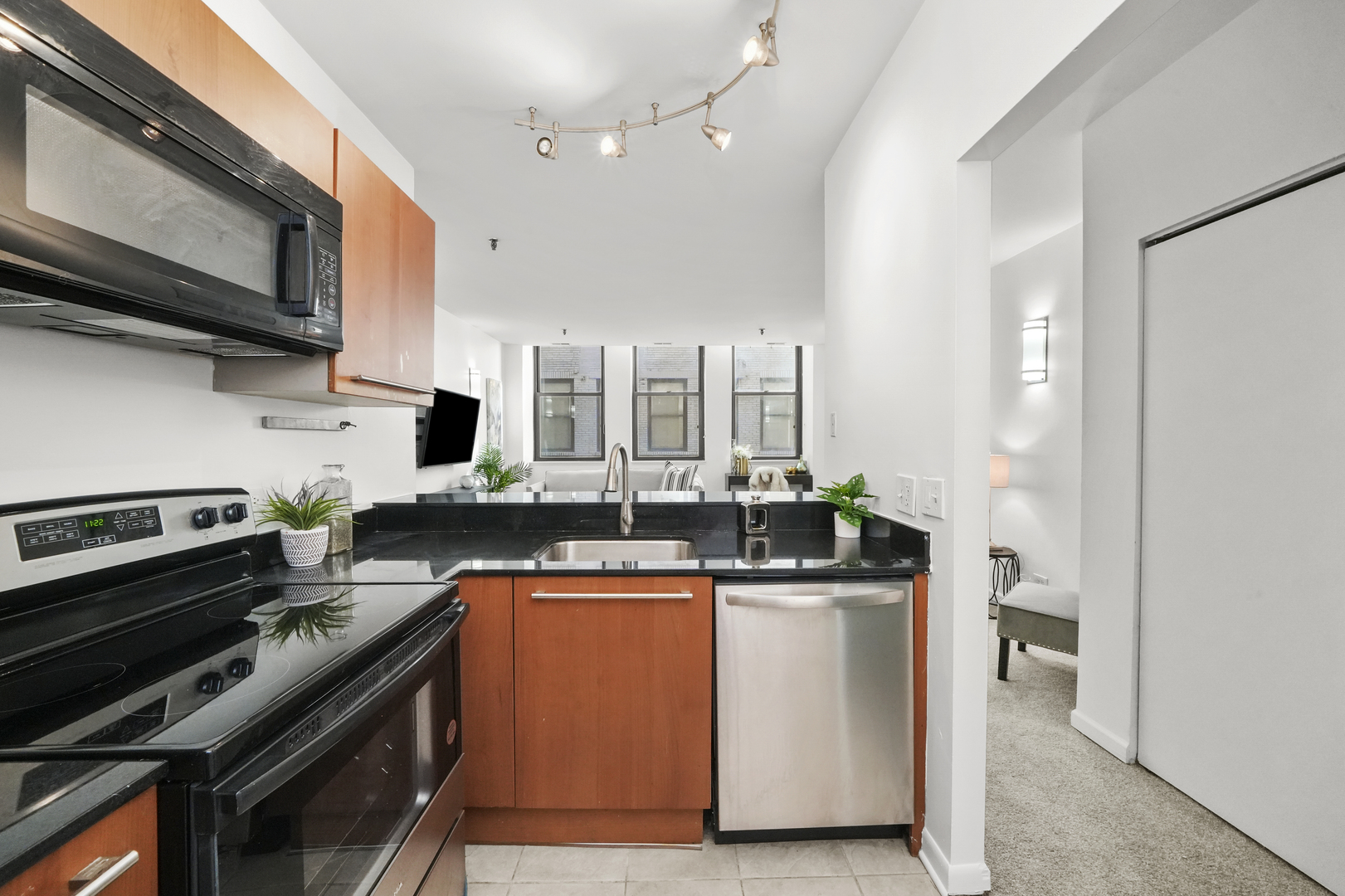 680 S Federal Street Unit: 203