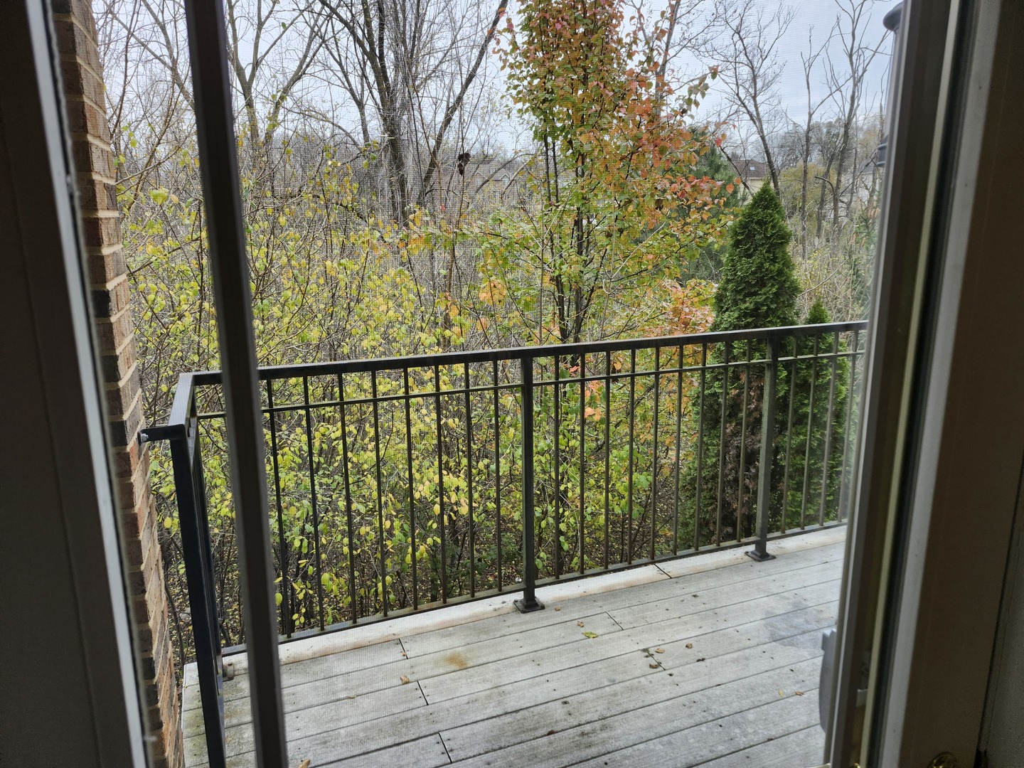 16W305 Shadow Creek Drive Unit: 305