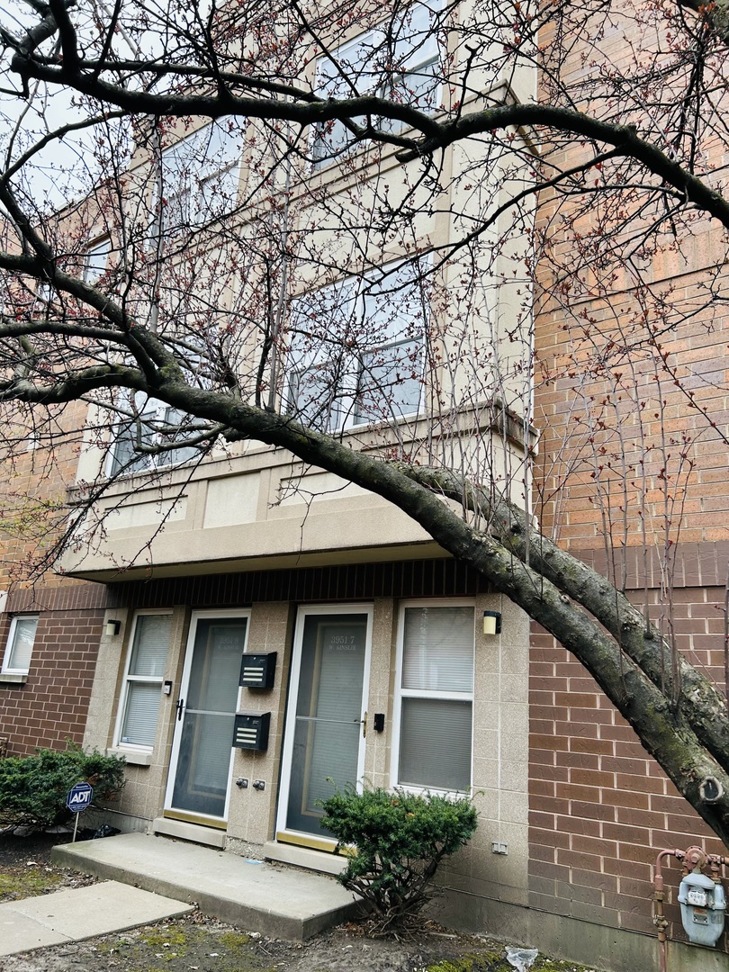 3951 W Ainslie Street Unit: 7