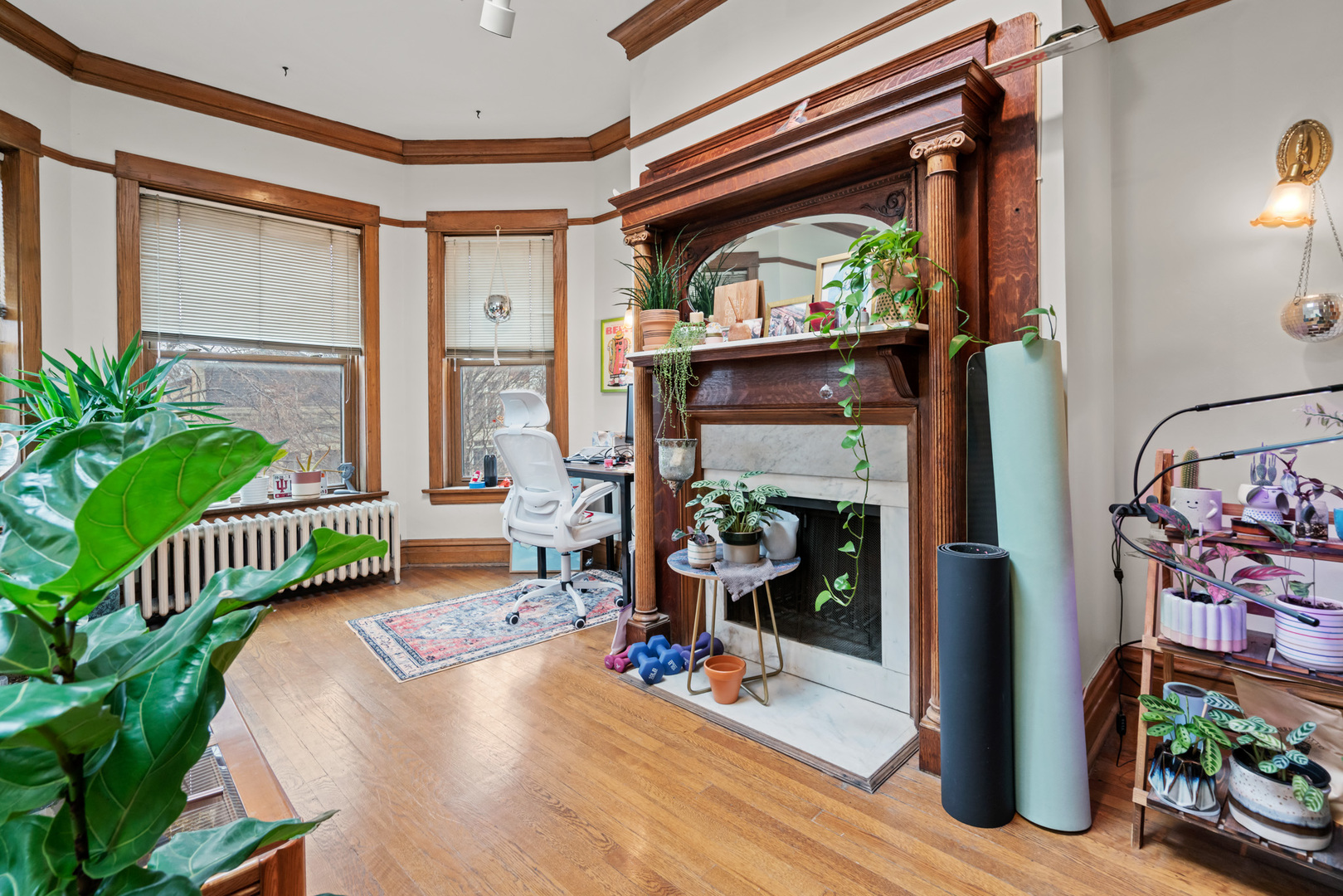 1336 W Cornelia Avenue