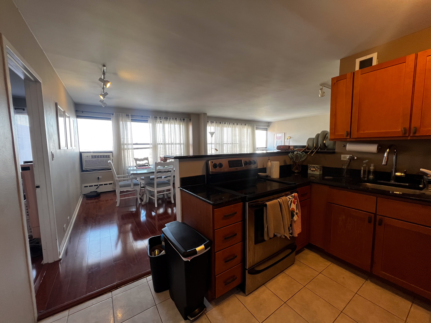 3420 N Lake Shore Drive Unit: 17LM