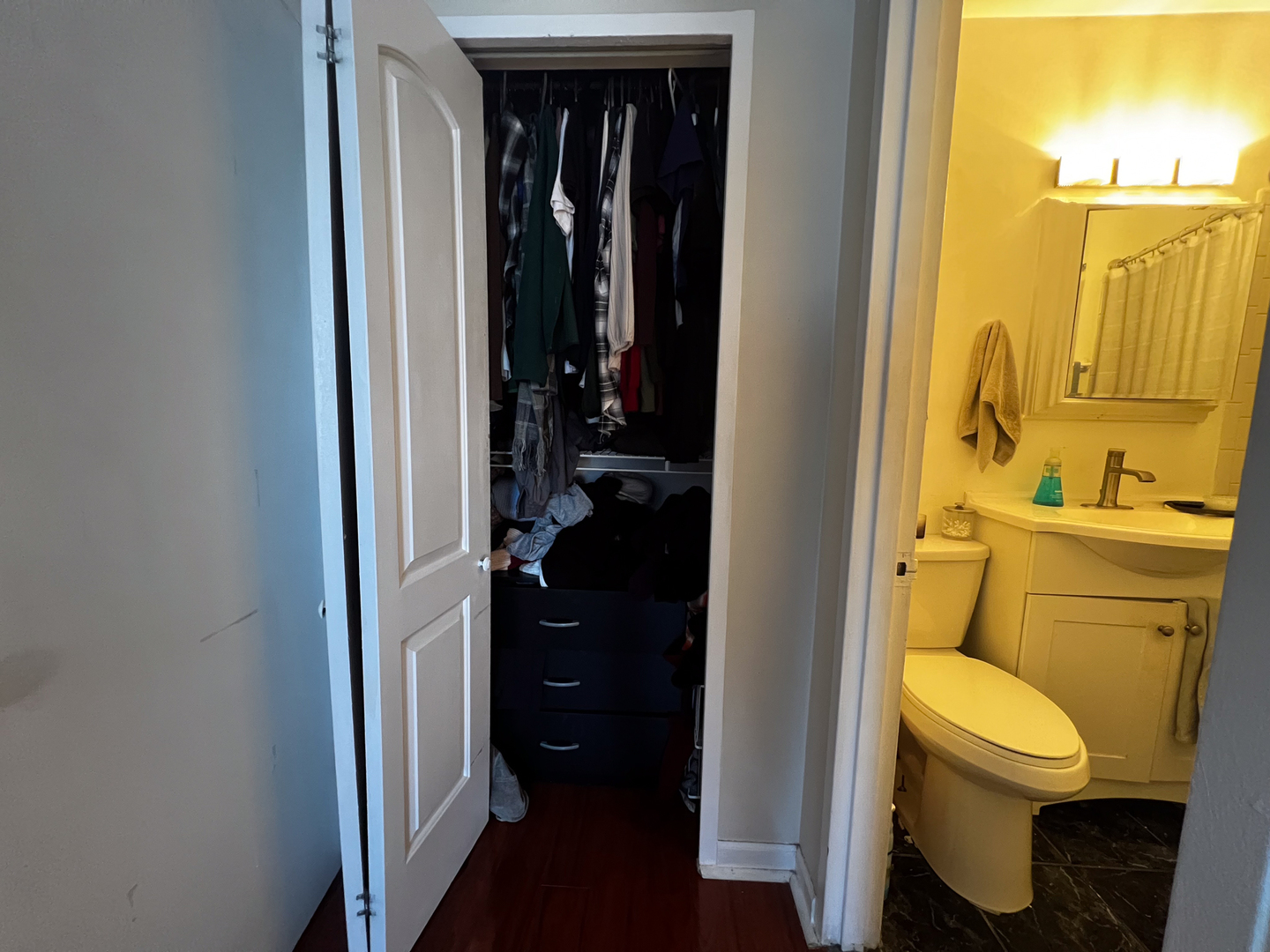 3420 N Lake Shore Drive Unit: 17LM