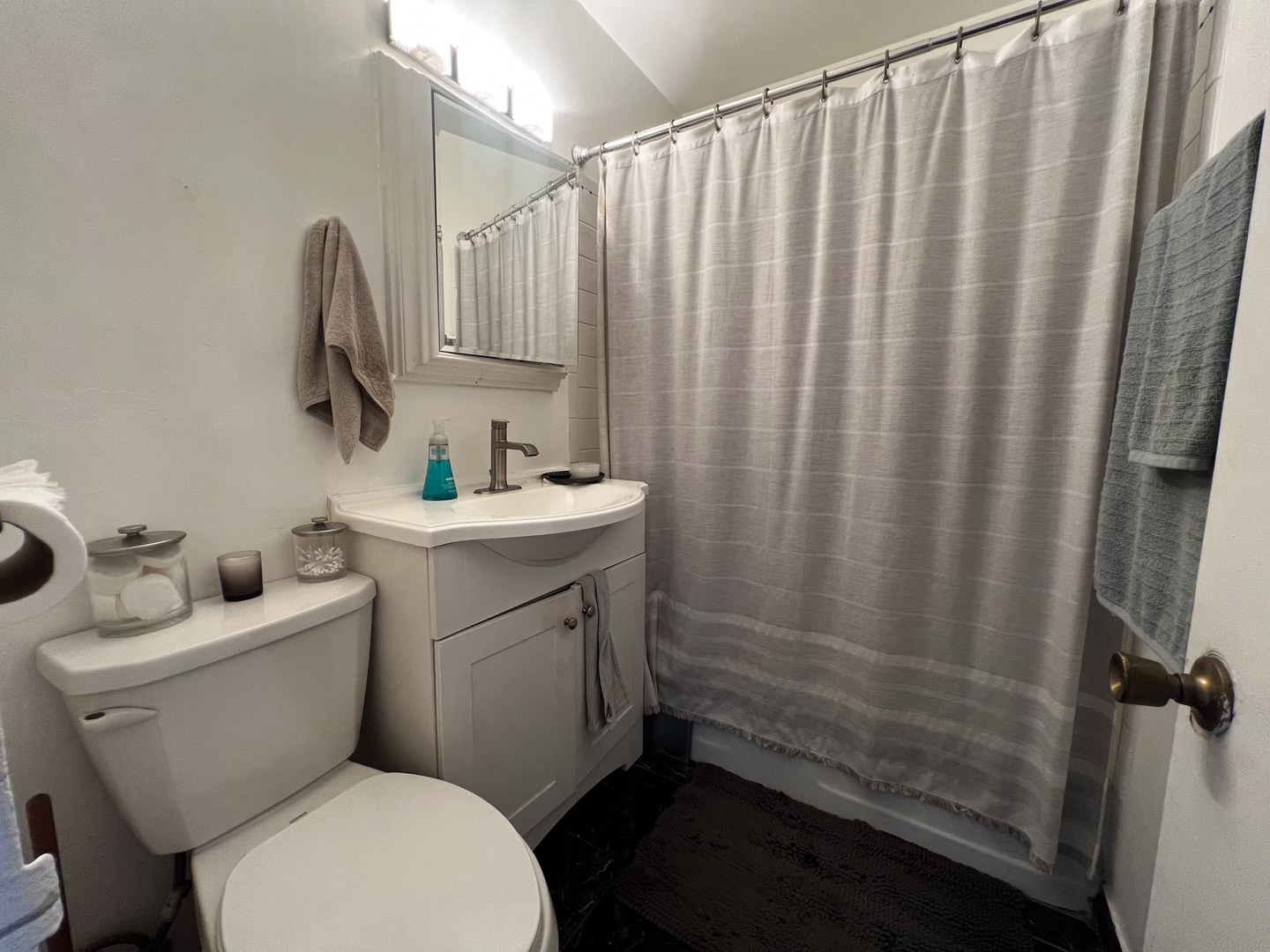 3420 N Lake Shore Drive Unit: 17LM