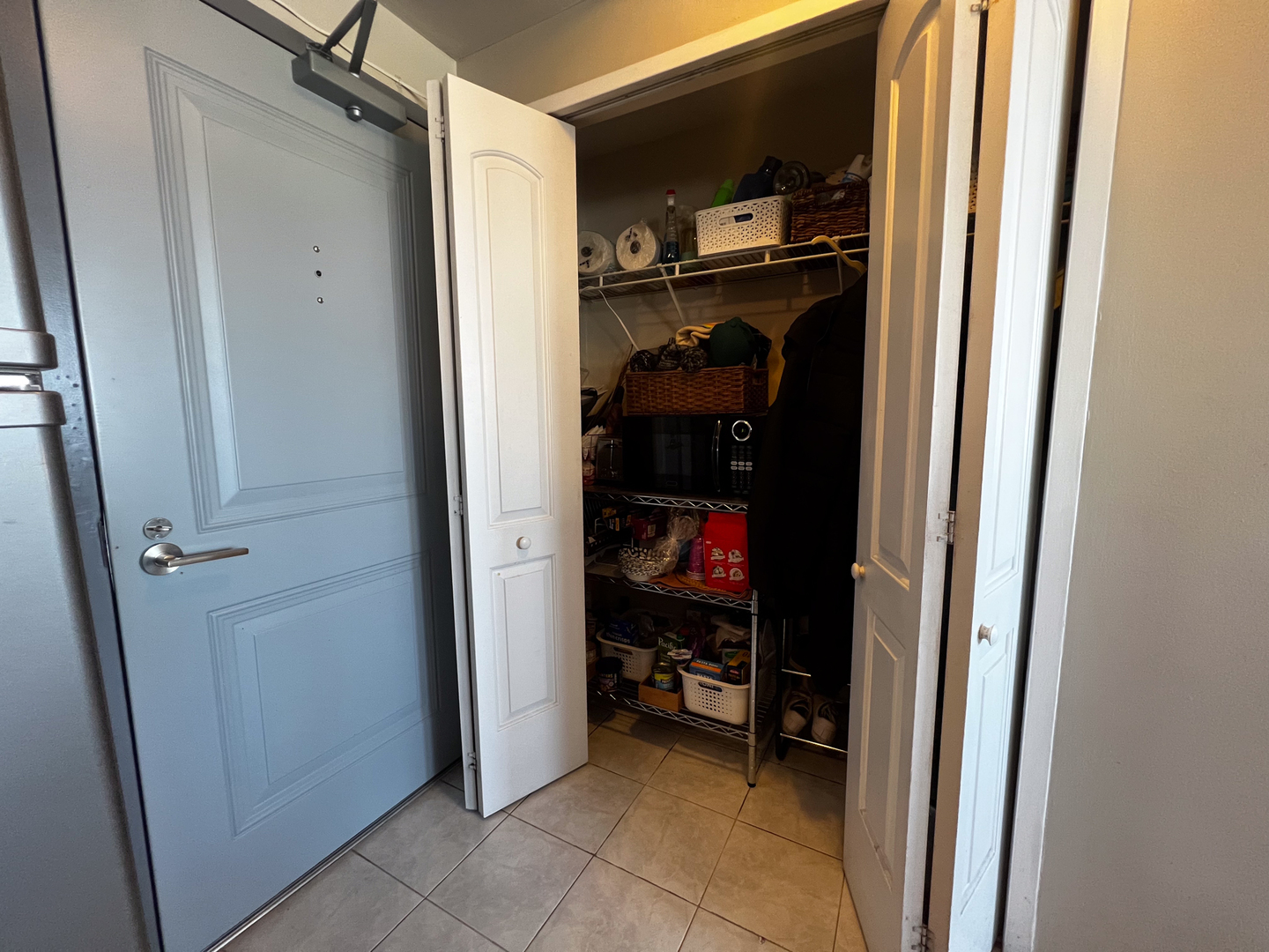 3420 N Lake Shore Drive Unit: 17LM