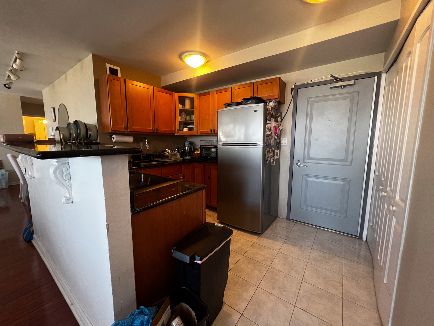 3420 N Lake Shore Drive Unit: 17LM
