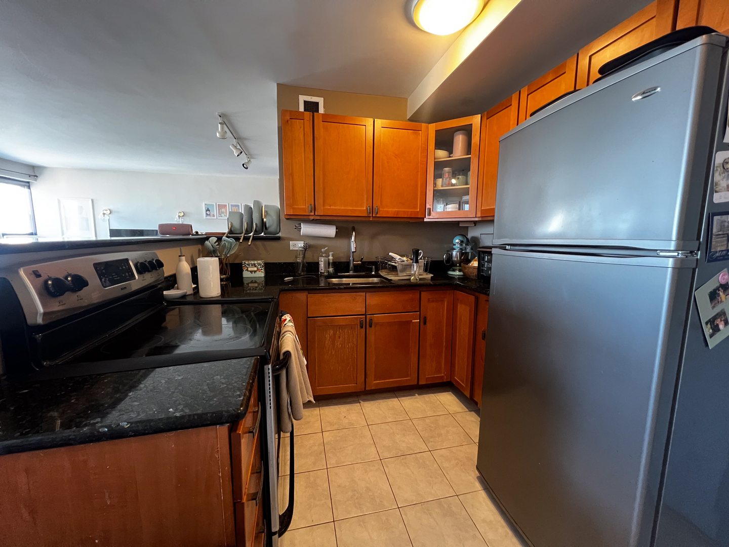 3420 N Lake Shore Drive Unit: 17LM