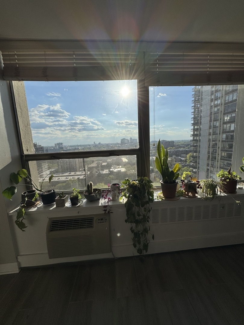 1355 N SANDBURG Terrace Unit: 1605