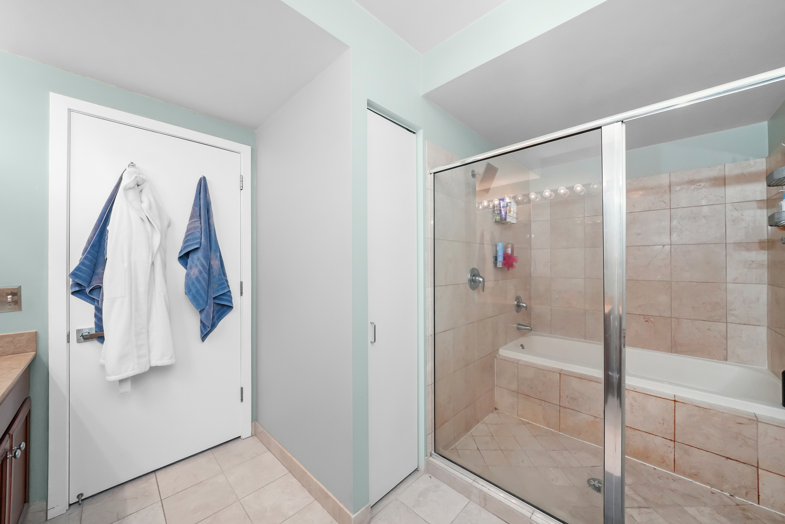 1160 S Michigan Avenue Unit: 1005