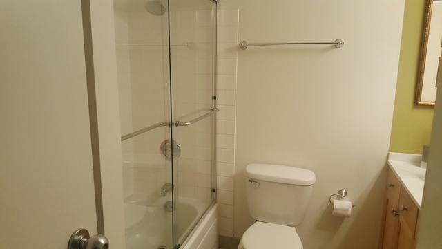 474 N Lake Shore Drive Unit: 5401