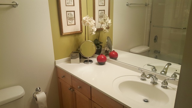 474 N Lake Shore Drive Unit: 5401