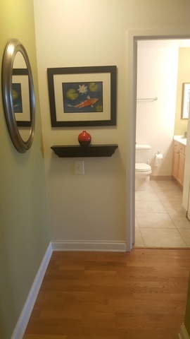 474 N Lake Shore Drive Unit: 5401