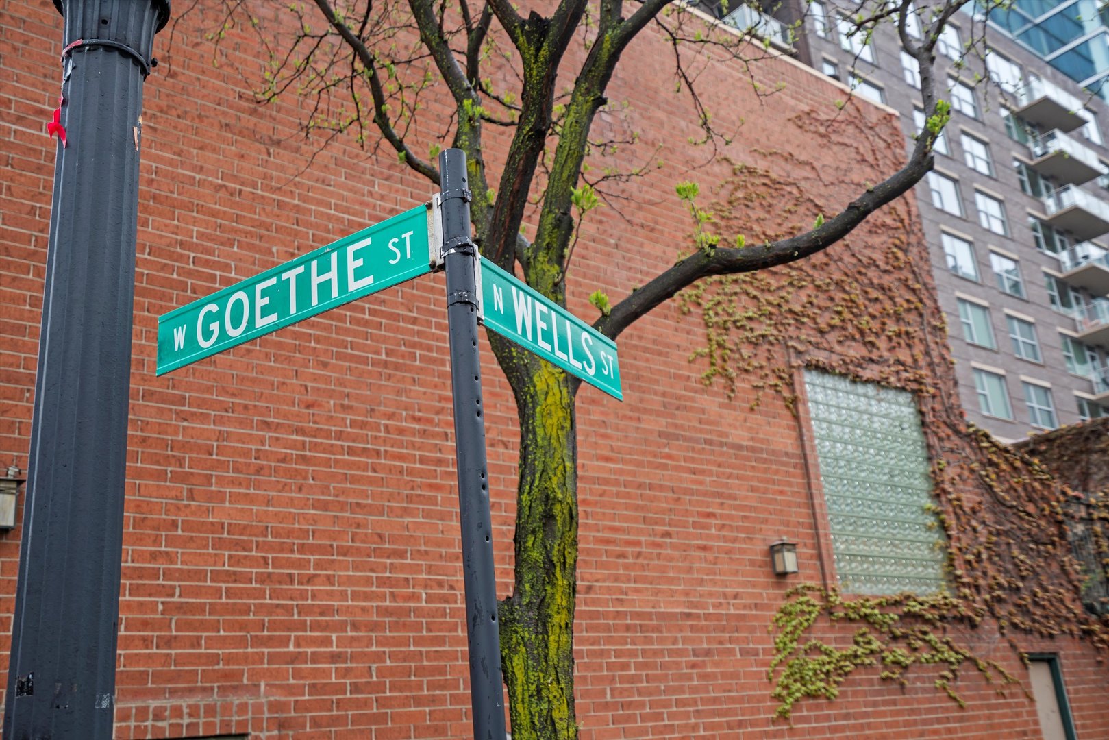 171 W Goethe Street Unit: B