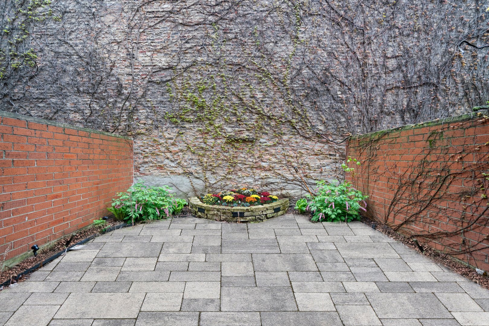 171 W Goethe Street Unit: B