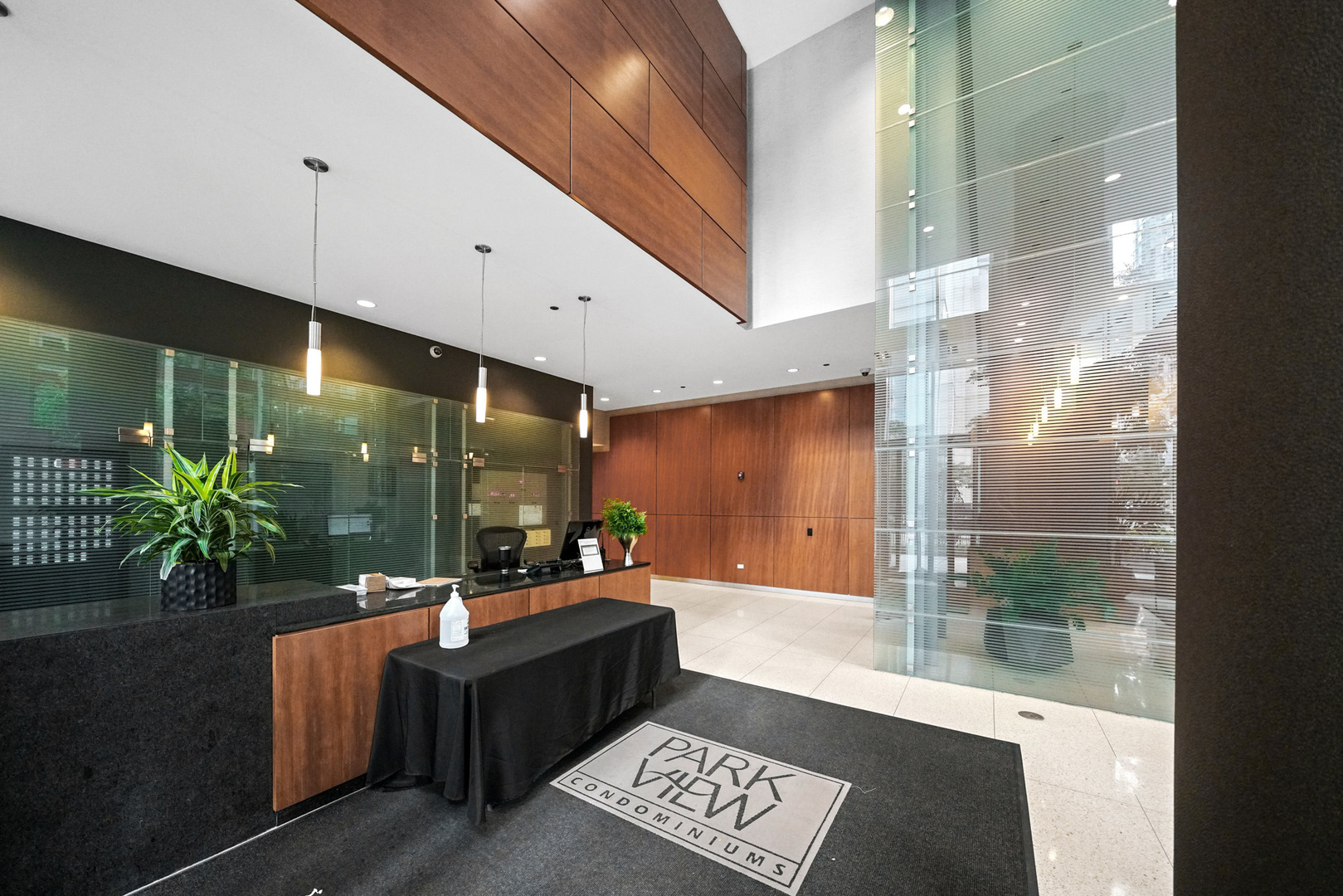 505 N Mcclurg Court Unit: 4505