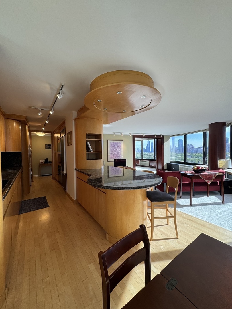 155 N Harbor Drive Unit: 1103