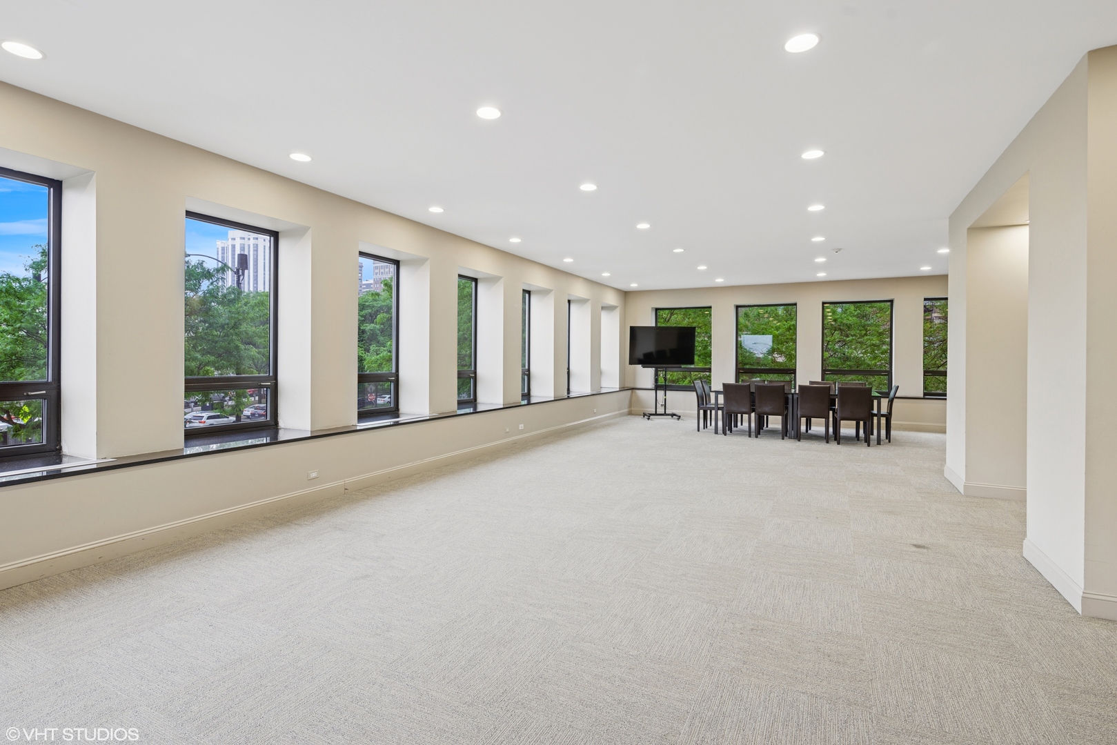 1100 N Lake Shore Drive Unit: 17B