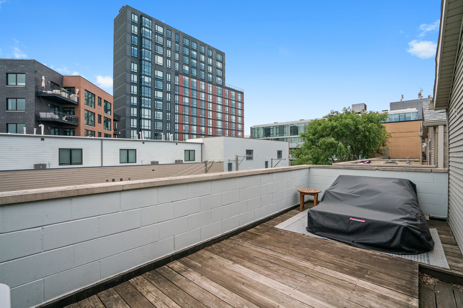 1225 N Paulina Street Unit: 3S