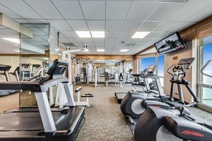 195 N Harbor Drive Unit: 709