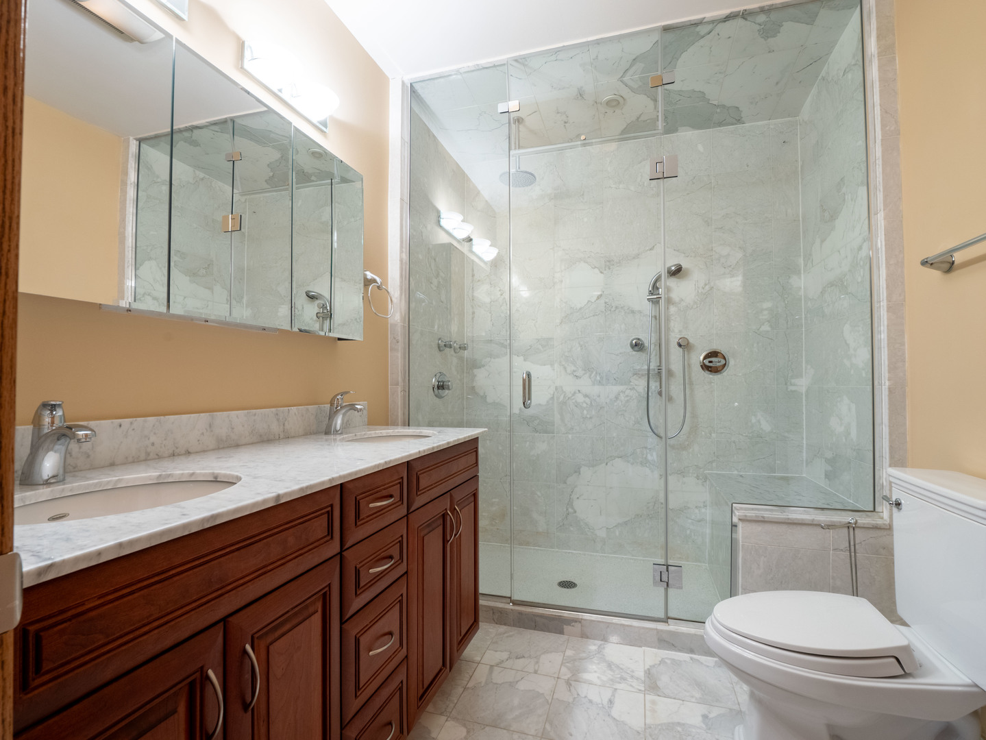 1013 W WEBSTER Avenue Unit: 5