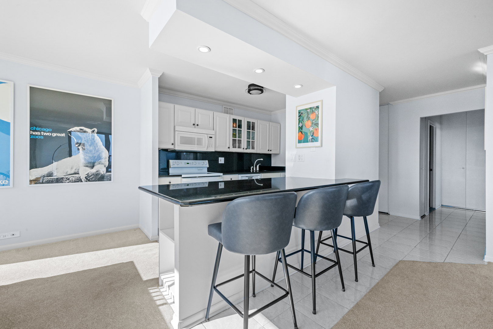 1560 N Sandburg Terrace Unit: 1412J