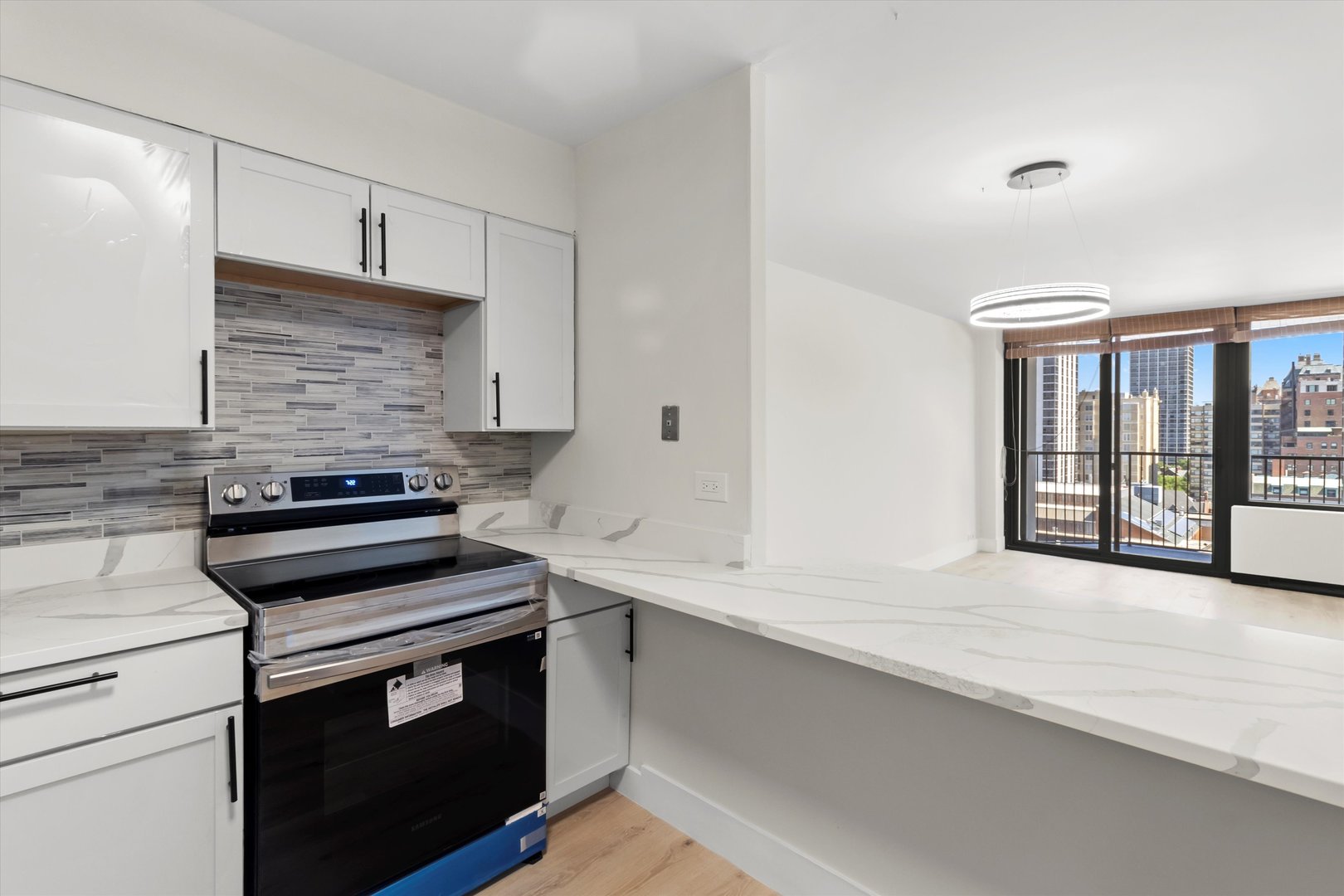 1560 N Sandburg Terrace Unit: 1508J