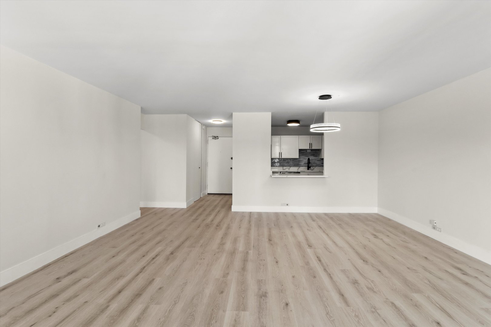 1560 N Sandburg Terrace Unit: 1508J