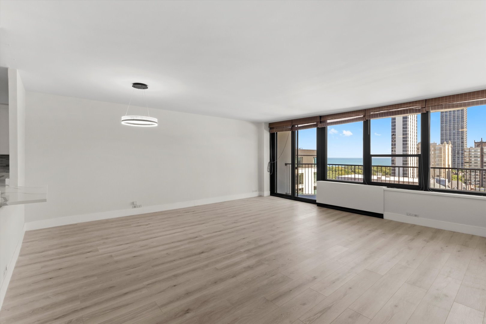 1560 N Sandburg Terrace Unit: 1508J